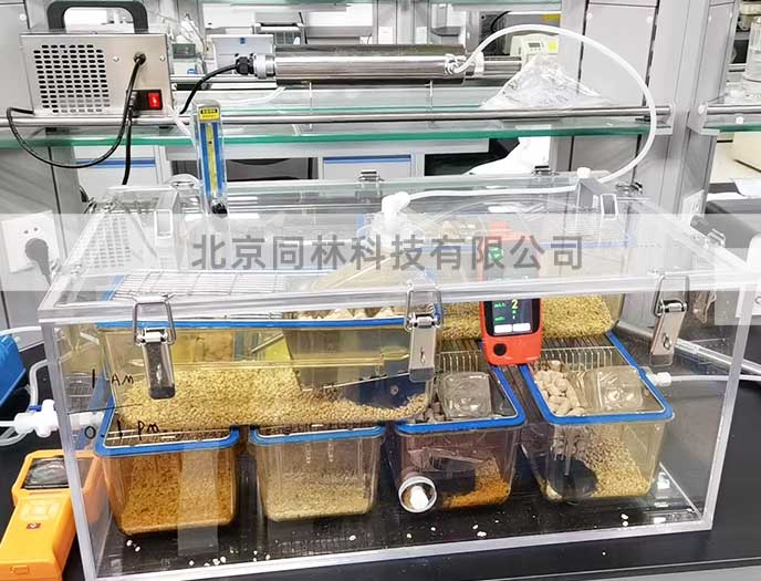 臭氧暴露染毒裝置現(xiàn)場(chǎng)